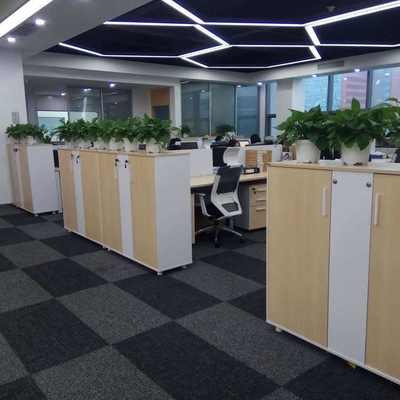 南山區綠植租擺服務 專業植物租賃廠家，為辦公與商業空間注入自然活力