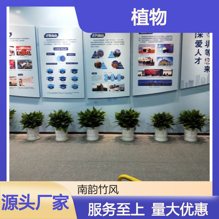 南山綠植租擺服務 專業植物廠家與清潔維護一體化解決方案
